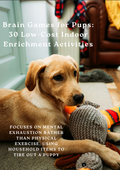 Brain Games for Pups: 30 Low-Cost Indoor Enrichment Activities